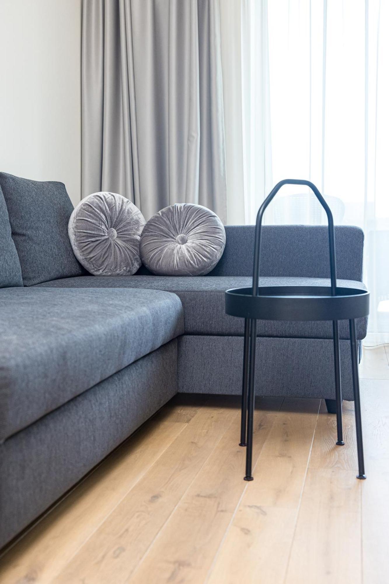 One Bedroom Kunigiskiai Apartament